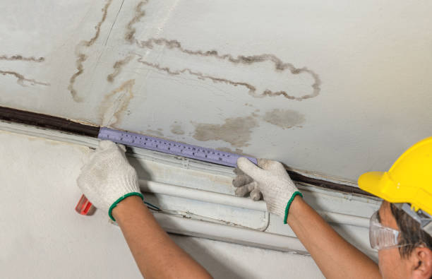 Reliable Burst Pipe Cleanup contractor in Willis, TX by Water Damage Irwin